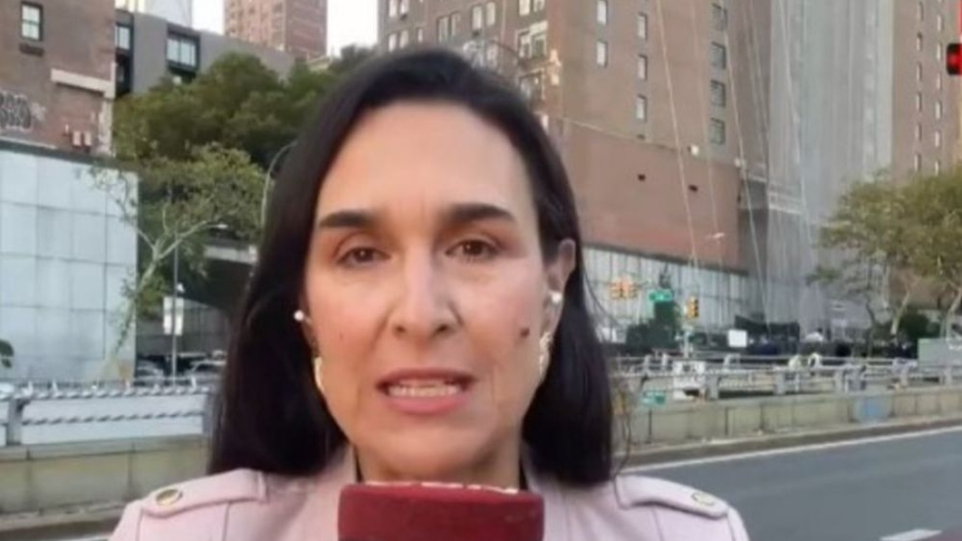 Periodista argentina de C5N es despedida por denunciar genocidio de ...